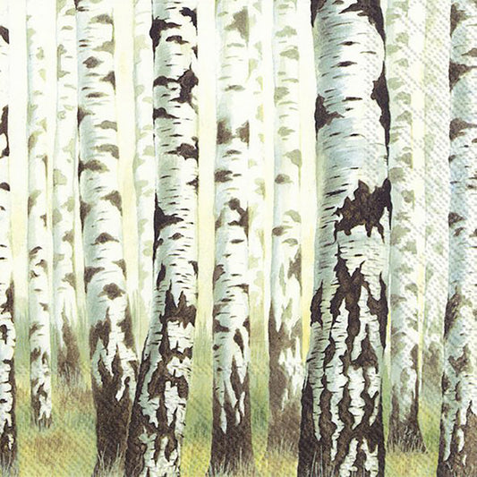 MAGIC TREES Silver Birch IHR Paper Lunch Napkins 33 cm sq 3 ply 20 pack