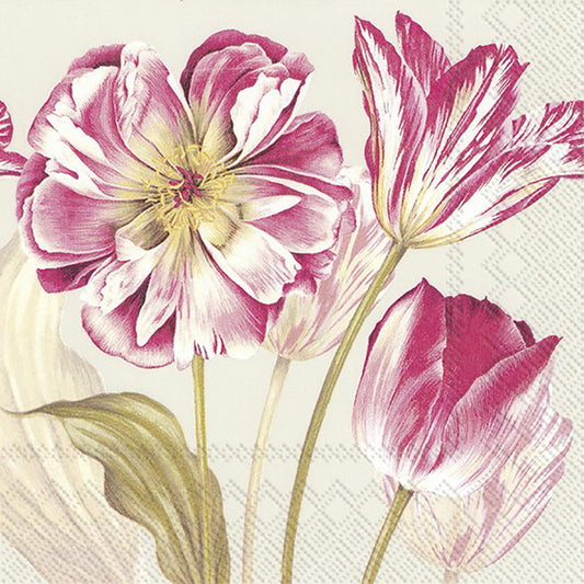 MAJESTIC TULIPS Linen Pink Flowers IHR Paper Lunch Napkins 33 cm sq 3 ply 20 pack