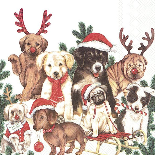 Dog-Mas Christmas IHR Paper Lunch Napkins 33 cm sq 3 ply 20 pack