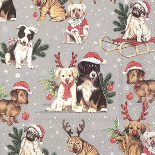 Dogs Celebration Grey Christmas IHR Paper Lunch Napkins 33 cm sq 3 ply 20 pack