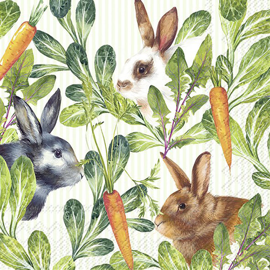 HASEN UND MÖHREN green Rabbit and Hare HR Paper Lunch Napkins 33 cm sq 3 ply 20 pack