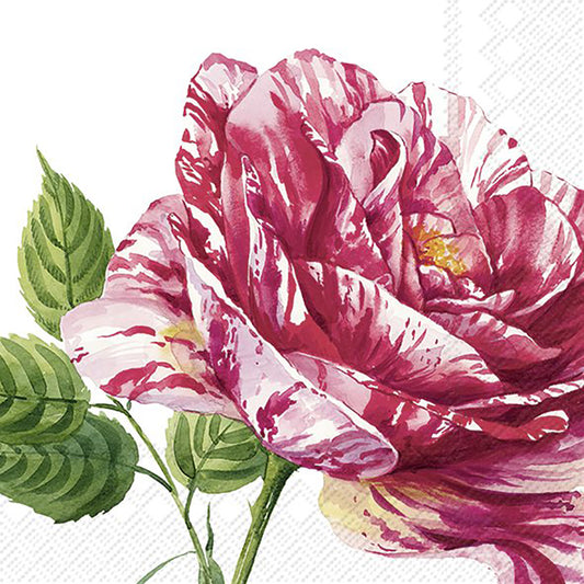 CHARLOTTE White Pink Flower IHR Paper Lunch Napkins 33 cm sq 3 ply 20 pack
