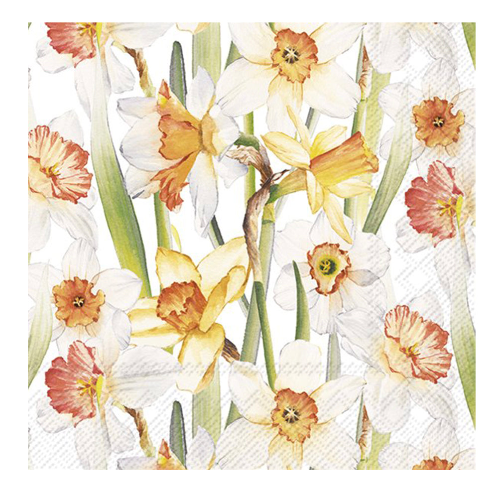 Daffodil Joy IHR Paper Lunch Napkins 33 cm sq 3 ply 20 pack