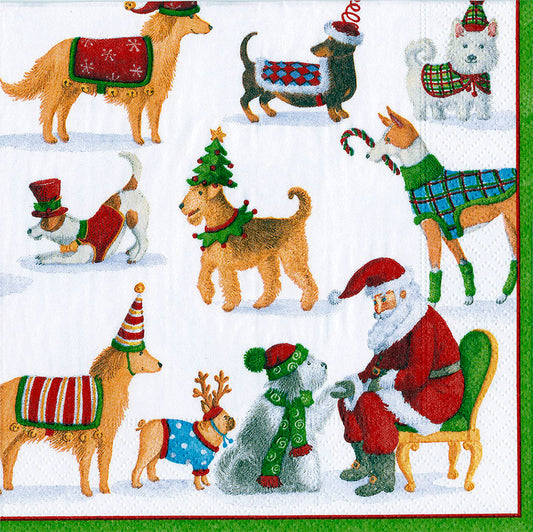 Waiting For Santa Dogs Santa Christmas Caspari Paper Lunch Napkins 33 cm sq 3 ply 20 pack