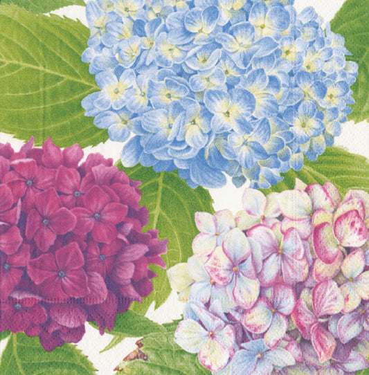 Hydrangea Garden Blue by Karen Kluglein Flowers Caspari Paper Lunch Napkins 33 cm sq 3 ply 20 pack