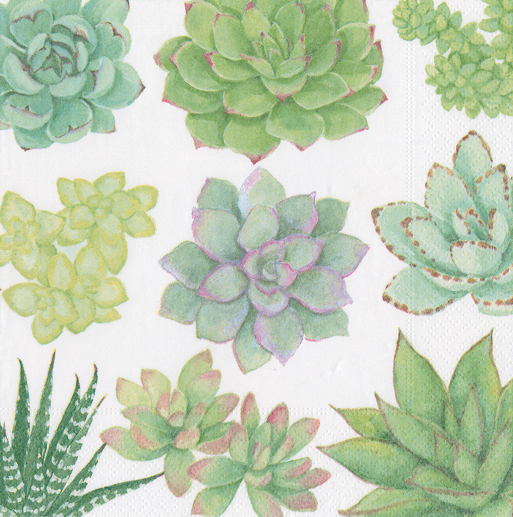 Succulents White Green Caspari Paper Lunch Napkins 33 cm sq 3 ply 20 pack