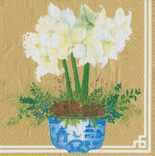 Potted Amaryllis by Catherine Weisz Gold White Flowers Caspari Paper Lunch Napkins 33 cm sq 3 ply 20 pack