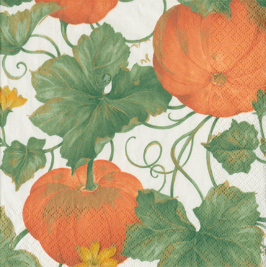 Heirloom Pumpkins Orange White Flowers Caspari Paper Lunch Napkins 33 cm sq 3 ply 20 pack