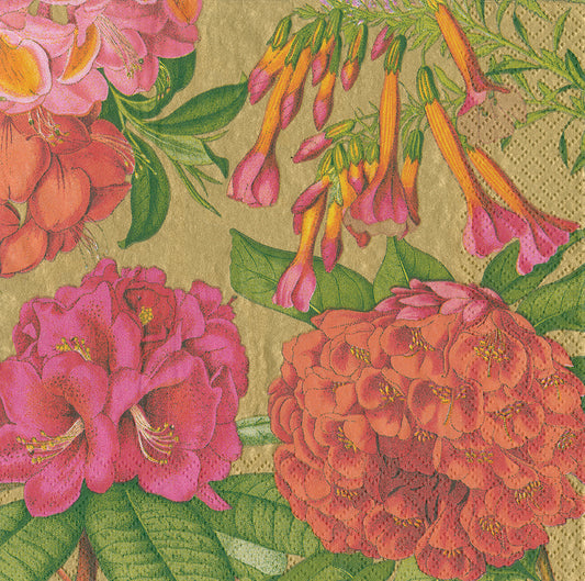 Jefferson’s Garden Study Monticello Gold Pink Flowers Caspari Paper Lunch Napkins 33 cm sq 3 ply 20 pack