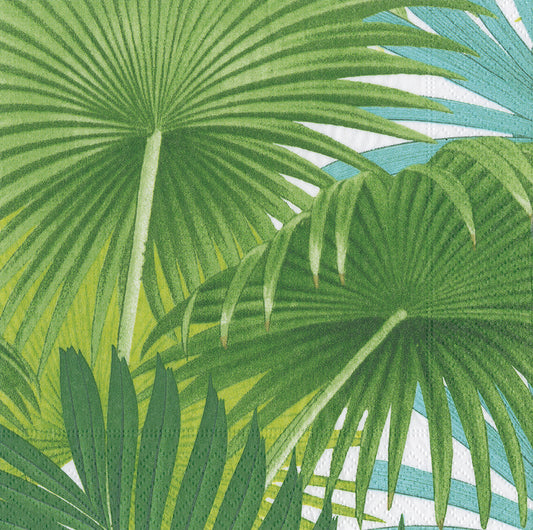 Palm Fronds Green Leaves Caspari Paper Lunch Napkins 33 cm sq 3 ply 20 pack