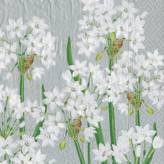 Paperwhites Silver White Flowers Caspari Paper Lunch Napkins 33 cm sq 3 ply 20 pack