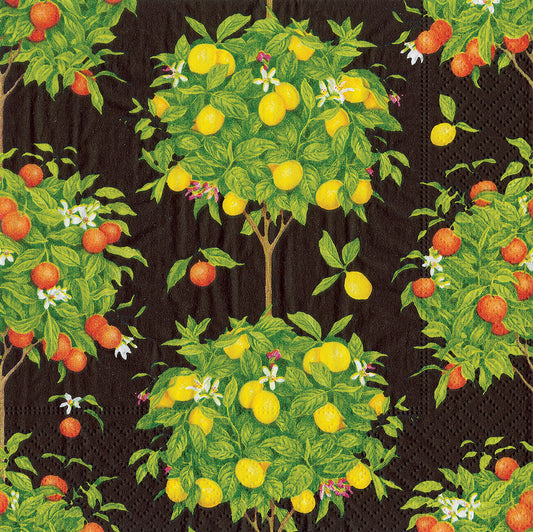 Black Citrus Topiarie Oranges Lemons Trees Caspari Paper Lunch Napkins 33 cm sq 3 ply 20 pack