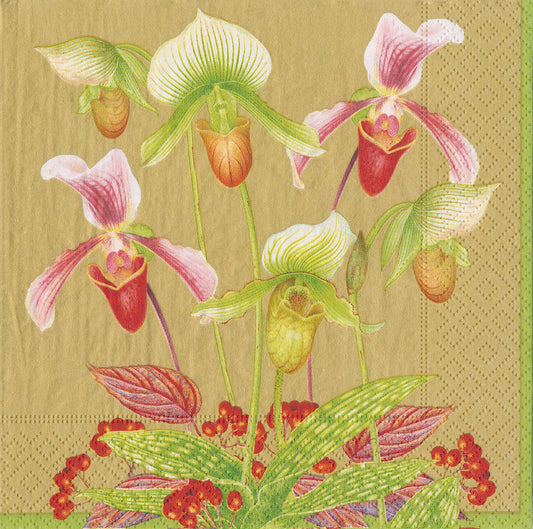 Slipper Orchid by Karen Kluglein Gold Flowers Caspari Paper Lunch Napkins 33 cm sq 3 ply 20 pack