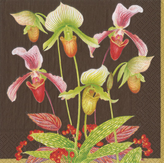 Slipper Orchid by Karen Kluglein Brown Flowers Caspari Paper Lunch Napkins 33 cm sq 3 ply 20 pack