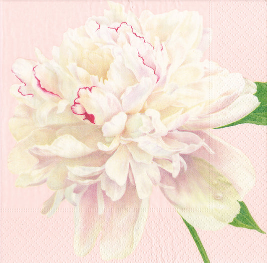 Duchess Peonies Blush Flower Caspari Paper Lunch Napkins 33 cm sq 3 ply 20 pack