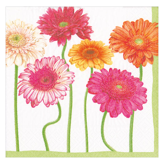 Blooming Daisy by Karen Kluglein Caspari Paper Lunch Napkins 33 cm sq 3 ply 20 pack