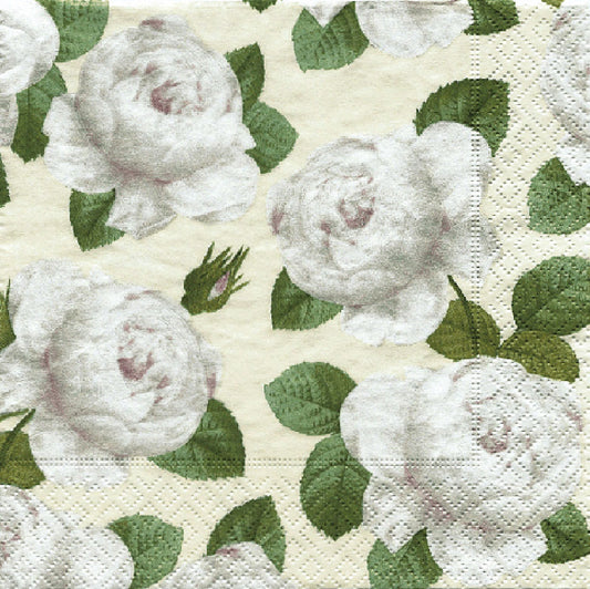 Redoute Rose Ivory RHS White Flowers Caspari Paper Lunch Napkins 33 cm sq 3 ply 20 pack