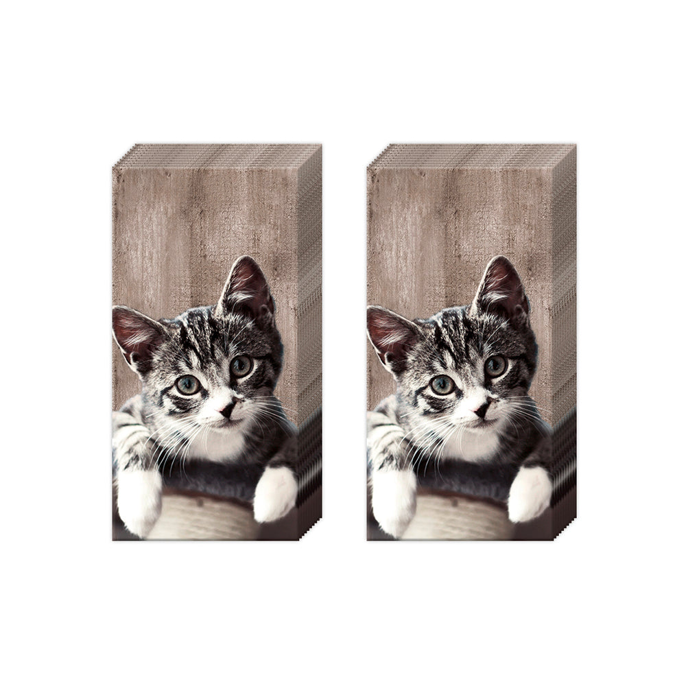 KASIMIR Grey Cat IHR Paper Pocket Tissues - 2 packs of 10 tissues 21 cm square