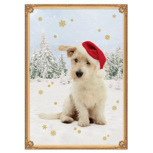 Christmas Puppy White Dog Coppenrath Advent Calendar 29.7 x 42 cm